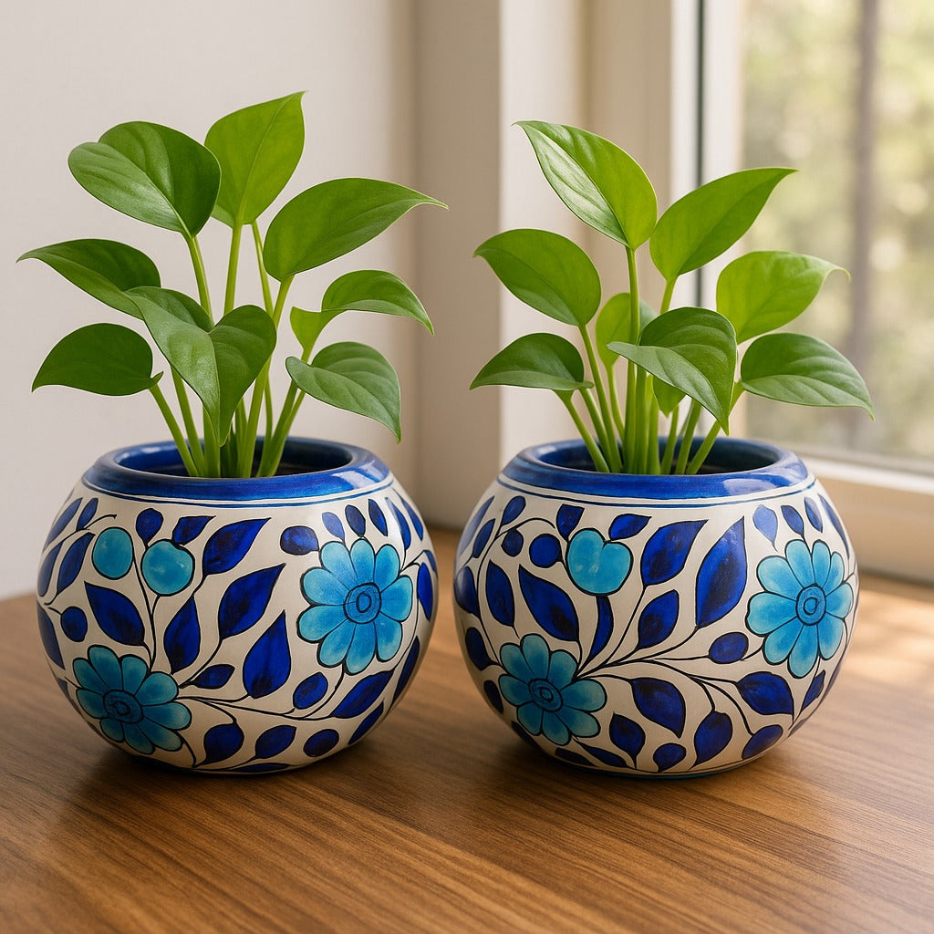 Circular Pots - Set of 2 |  Premium Home Décor